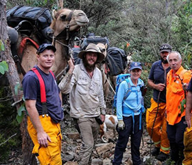 Volunteers to the rescue as camels become stuck in Tasmanian wilderness